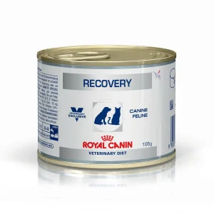 oyal Canin Recovery – alimento húmedo para perros y gatos (vista frontal)
