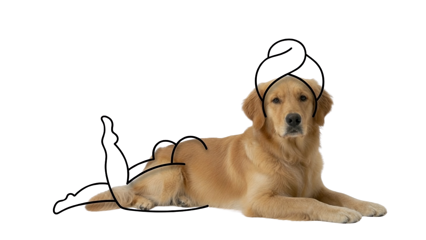 Mascota en spa