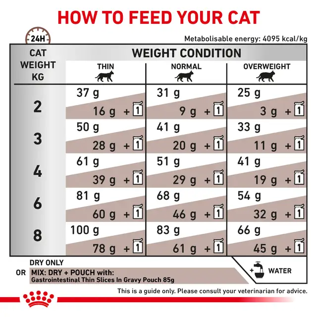 Royal Canin Gastrointestinal | Alimento para Gatos - Imagen 2