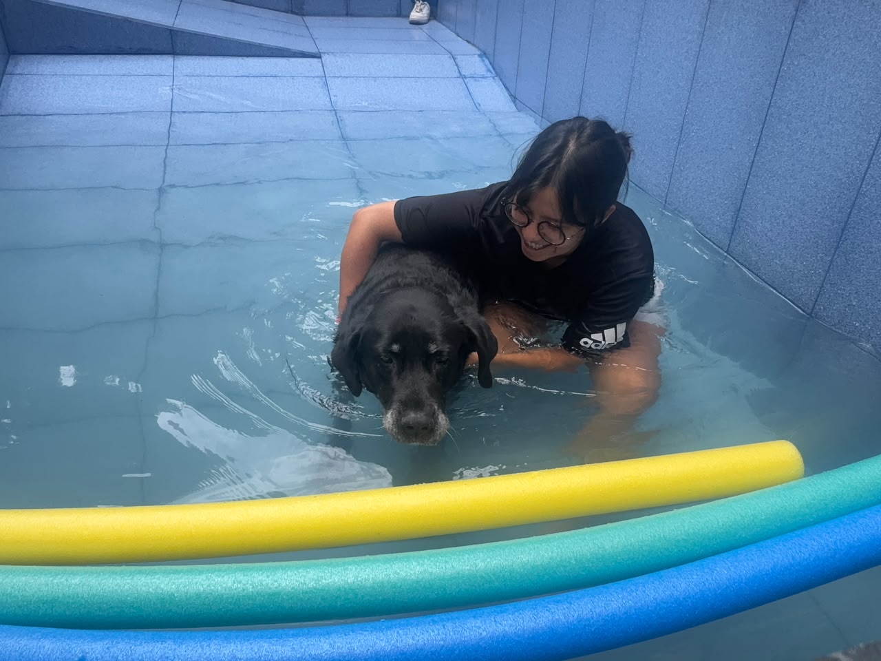 Piscina perros