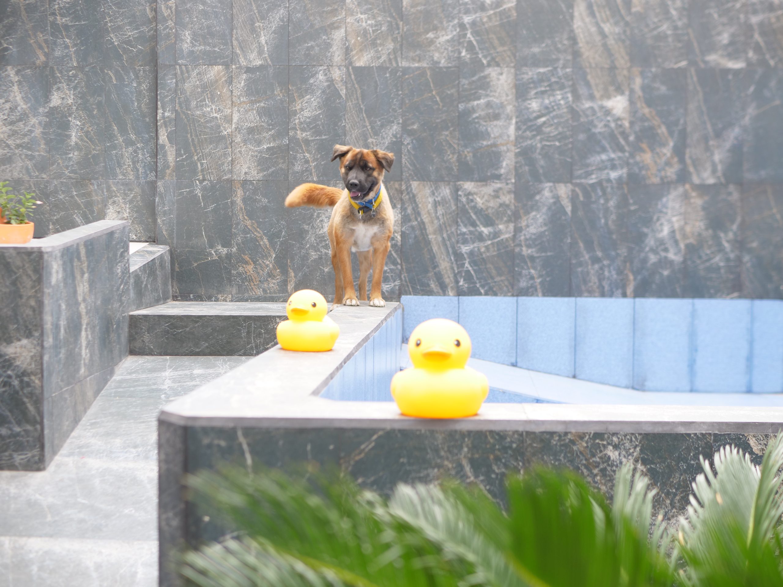 Piscina 2